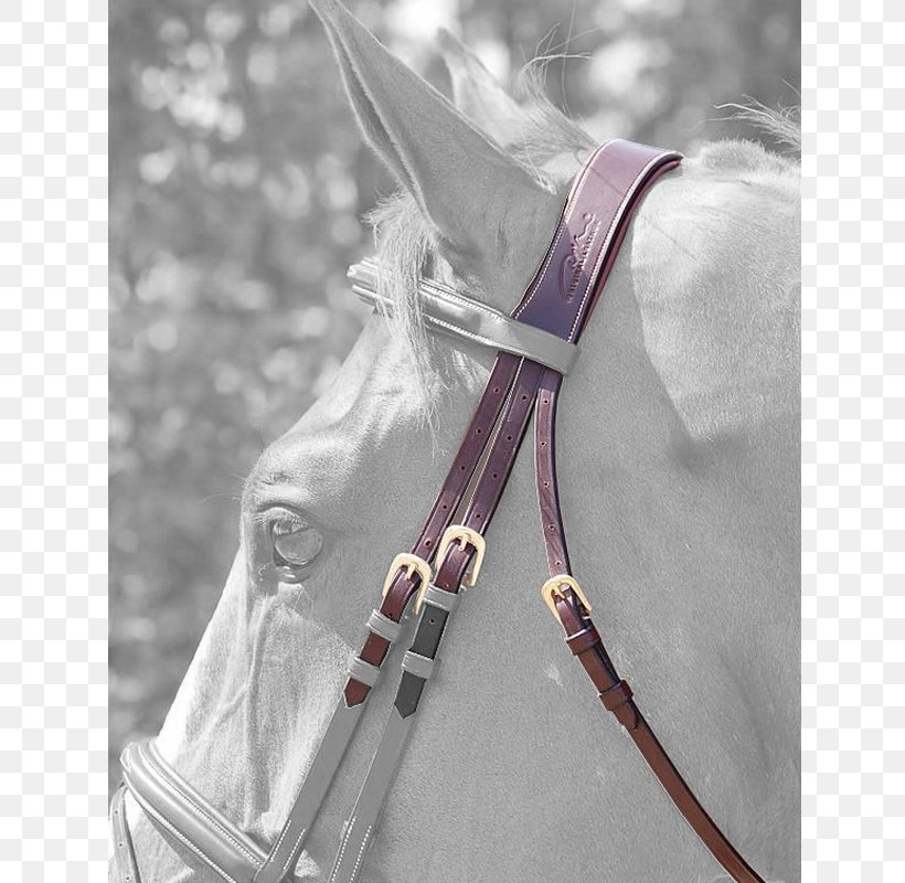 Horse Bridle Equestrian Saddle Stable, PNG, 800x800px, Horse, Bridle, Clothing Accessories, Cold Weapon, Crop Download Free