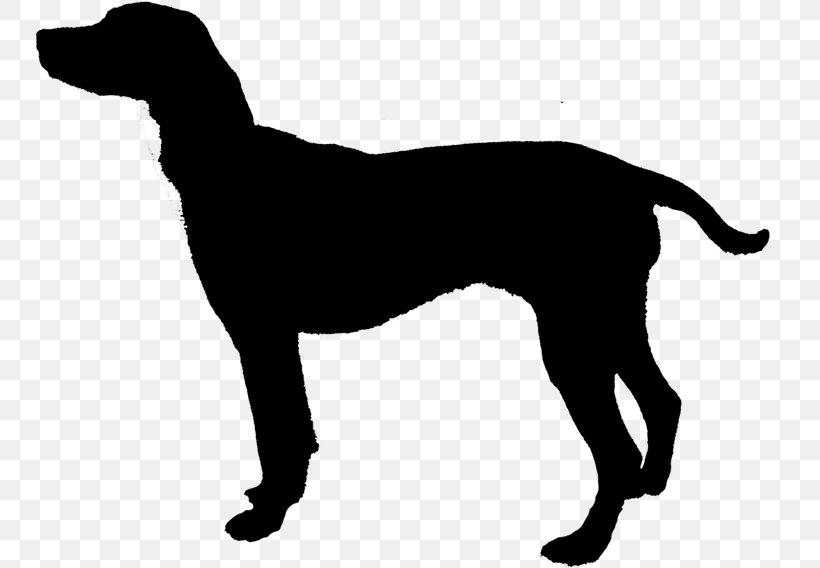 Clip Art Labrador Retriever Silhouette English Mastiff Vector Graphics, PNG, 750x568px, Labrador Retriever, Canidae, Carnivore, Dog, Dog Breed Download Free