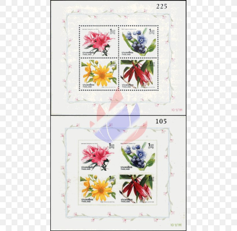Floral Design Paper Cut Flowers, PNG, 800x800px, Floral Design, Area, Art, Craft, Cut Flowers Download Free