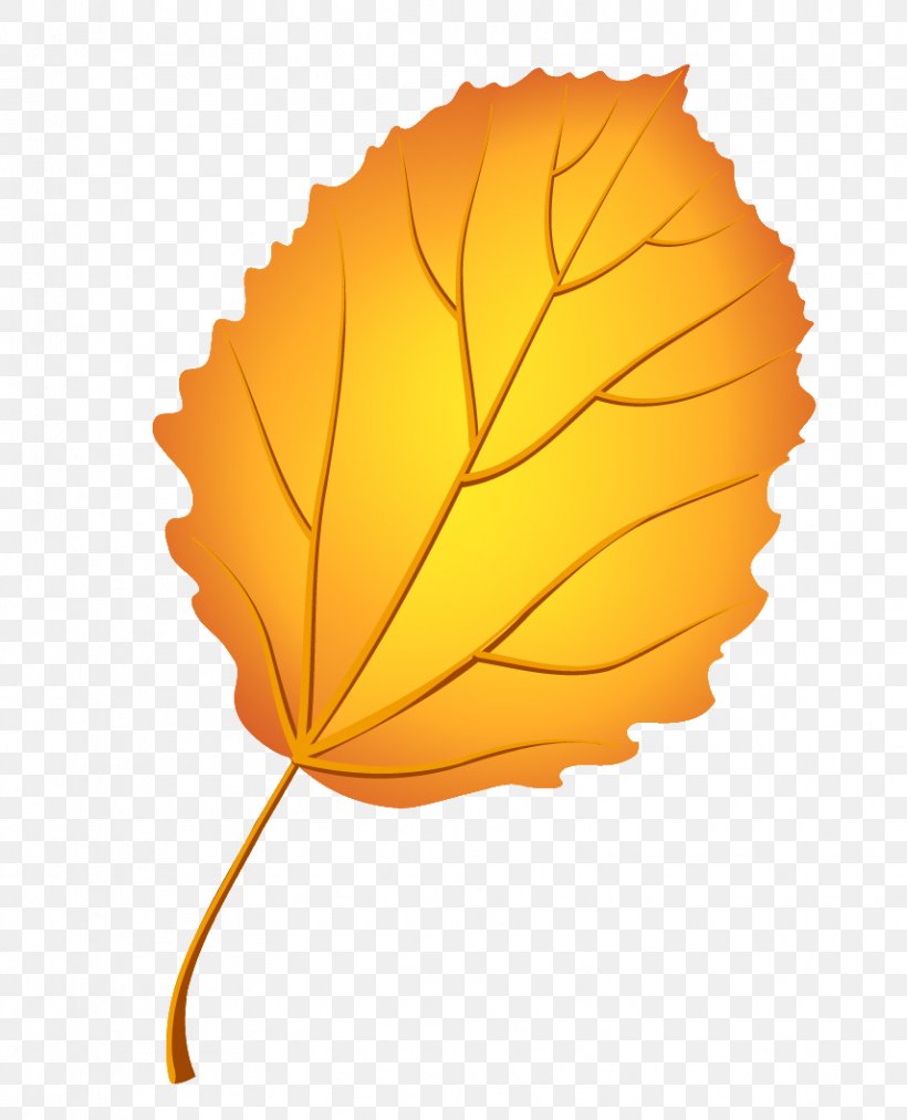 Leaf Image Autumn Leaves Psd, PNG, 856x1057px, Leaf, Animation, Autumn, Autumn Leaves, Digital Image Download Free
