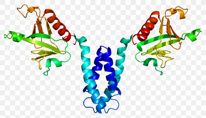 SKAP2 Protein Gene Src Family Kinase Human, PNG, 1200x689px, Protein, Antibody, Gene, Genecards, Genome Download Free