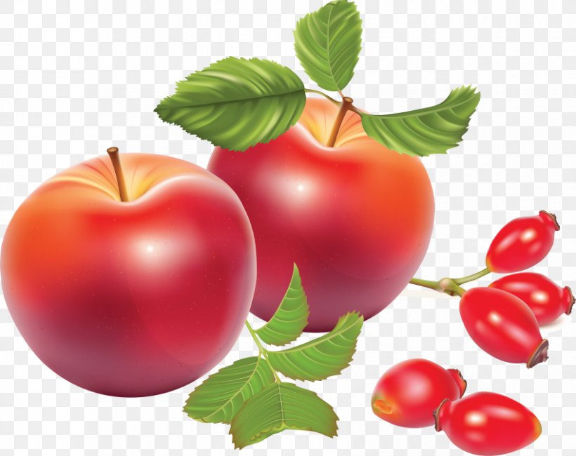 Rose Hip Apple Vector Graphics Image, PNG, 850x674px, Rose Hip, Acerola, Acerola Family, Apple, Berry Download Free