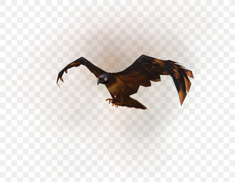 RuneScape Bird Of Prey Hawk Accipitriformes, PNG, 1155x897px, Runescape, Accipitriformes, Beak, Bird, Bird Of Prey Download Free