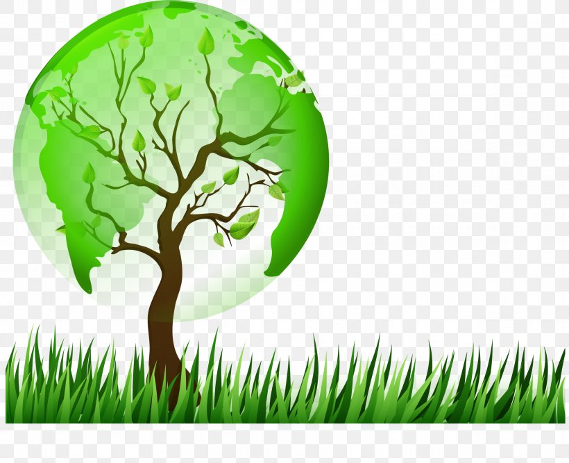The Trees On The Grass, PNG, 2362x1924px, Prezi, Branch, Environment, Grass, Grass Family Download Free