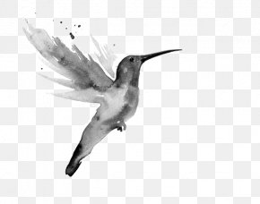 Painting - Watercolor Painting Art Hummingbird æ°´å½©è‰²é‰›ç­† PNG