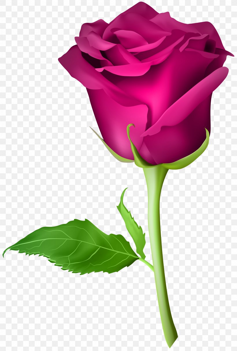 Blue Rose Flower Bead, PNG, 4724x7000px, Rose, Blue, Blue Rose, Bud, Close Up Download Free