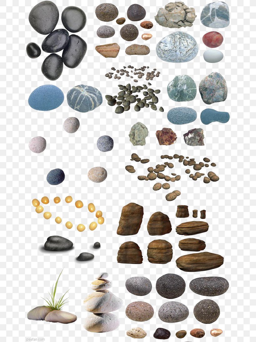 Download, PNG, 658x1097px, Gratis, Computer Graphics, Organism, Pebble, Plastic Download Free