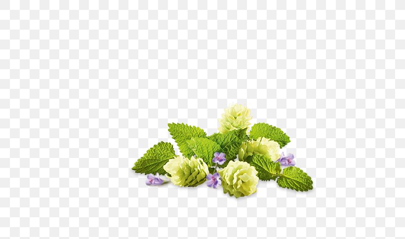 Floral Design Cut Flowers Herbaceous Plant Hydrangea, PNG, 600x484px, Floral Design, Cut Flowers, Flower, Flower Arranging, Flowering Plant Download Free
