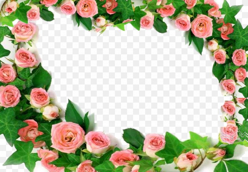 Garden Roses Pink Rosa Chinensis Flower, PNG, 1024x713px, Garden Roses, Artificial Flower, Color, Floral Design, Floristry Download Free