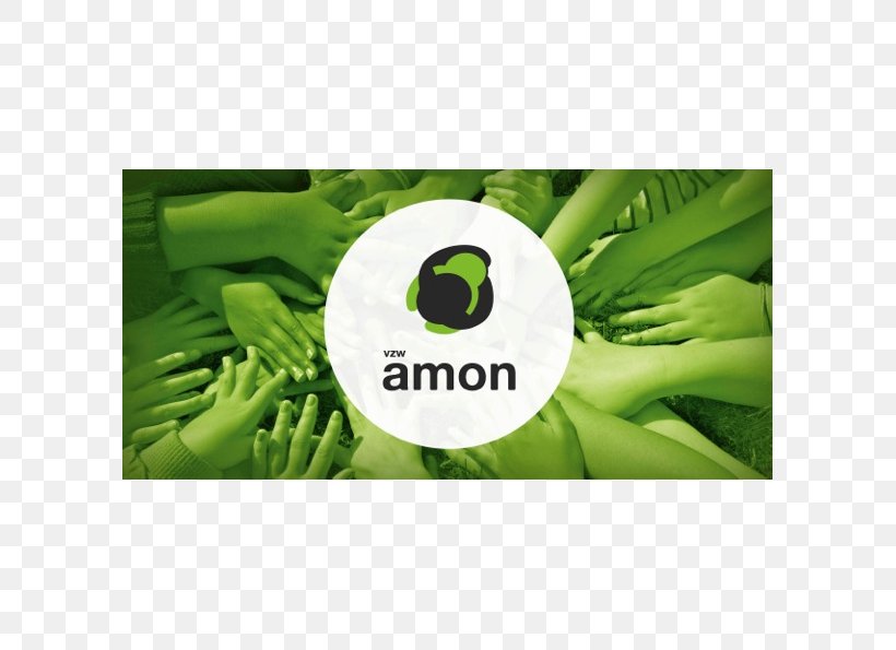 Child Amon Nuclear Family 't Roborstje Problematische Opvoedingssituatie, PNG, 595x595px, Child, Amon, Brand, Elementary School, Grass Download Free