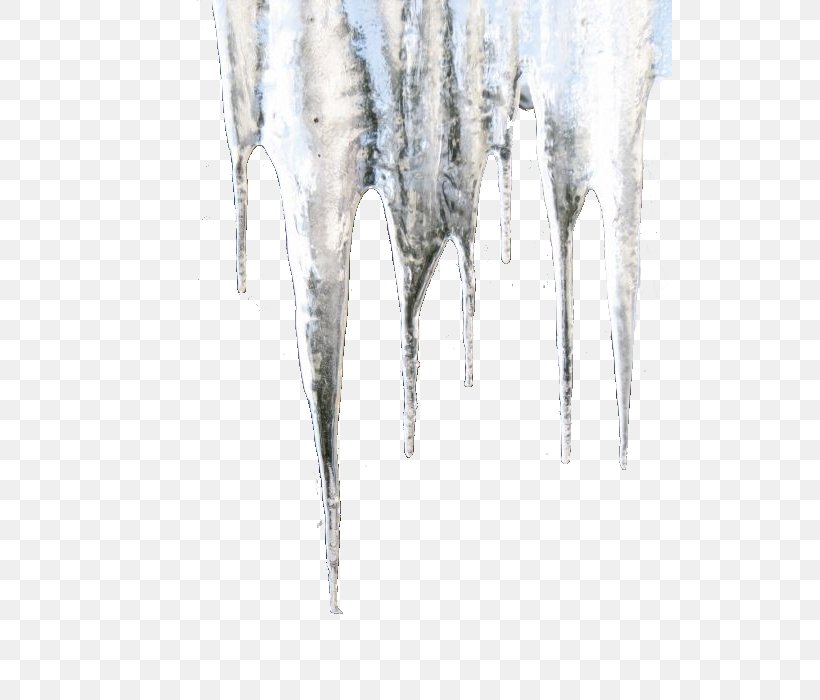 Icicle Clip Art, PNG, 525x700px, Icicle, Animation, Baby New Year, Clear Ice, Freezing Download Free