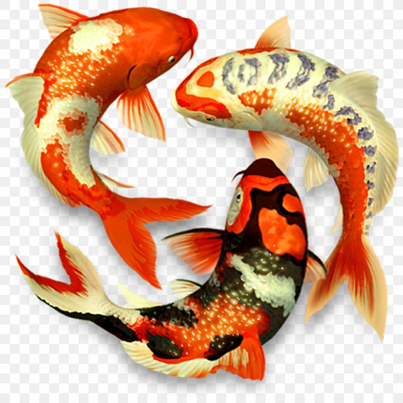 Koi Pond 3D Computer Graphics MacOS, PNG, 1024x1024px, 3d Computer Graphics, 3d Modeling, Koi, Android, Apple Download Free