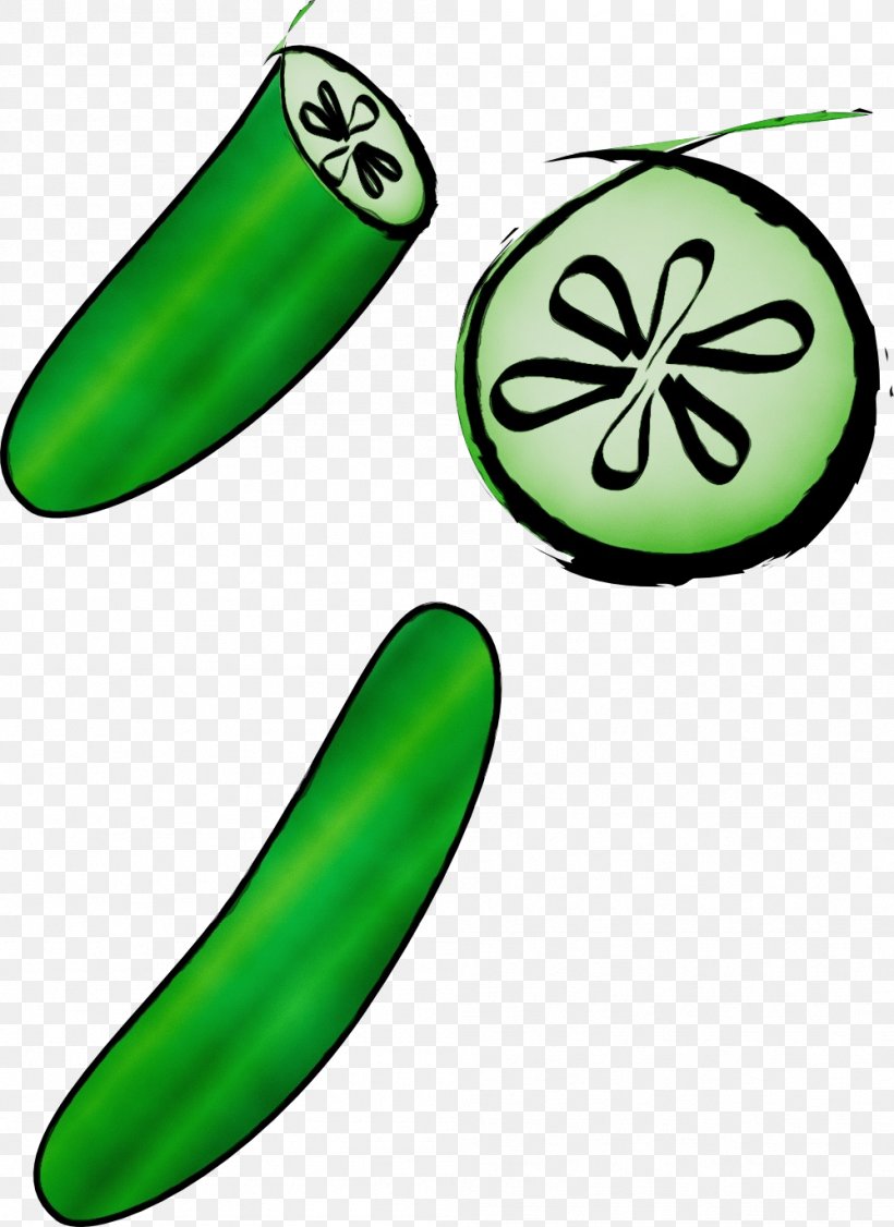 Clip Art Plant Cucumber Vegetarian Food Legume, PNG, 999x1372px, Watercolor, Cucumber, Legume, Paint, Plant Download Free