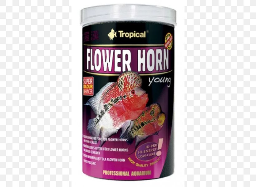 Flower Horn Cichlid Aquarium Fish Feed Pet Food, PNG, 600x600px, Flower Horn, Animal, Aquarium, Aquarium Fish Feed, Cichlid Download Free