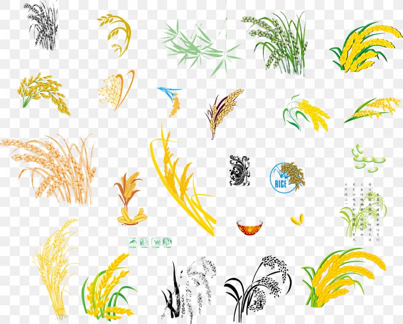Grasses Oryza Sativa Rice Illustration, PNG, 1024x822px, Grasses, Area, Art, Artwork, Beak Download Free