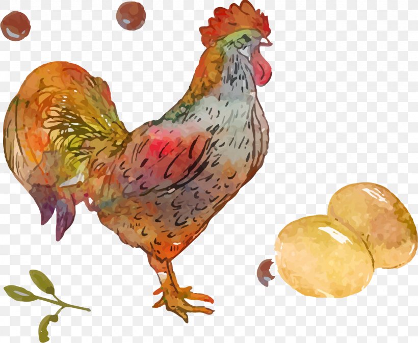 Chicken Rooster, PNG, 1229x1010px, Chicken, Artworks, Beak, Bird, Chicken Egg Download Free