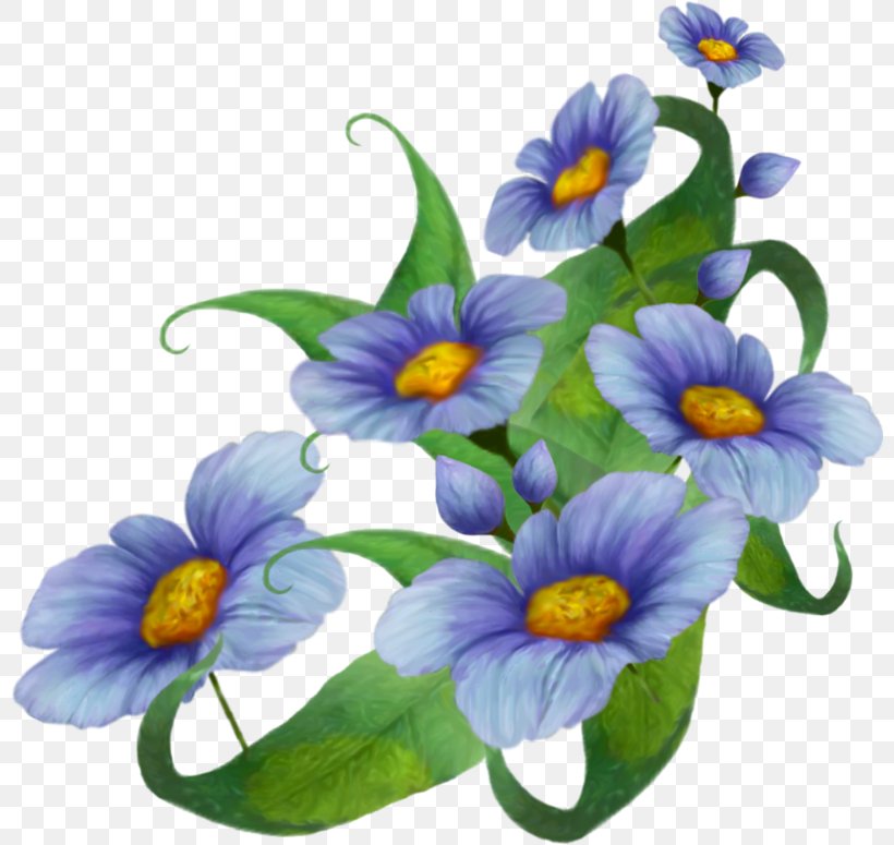 Flower Blog Floral Design Clip Art, PNG, 800x775px, Flower, Bellflower Family, Blog, Floral Design, Flowering Plant Download Free