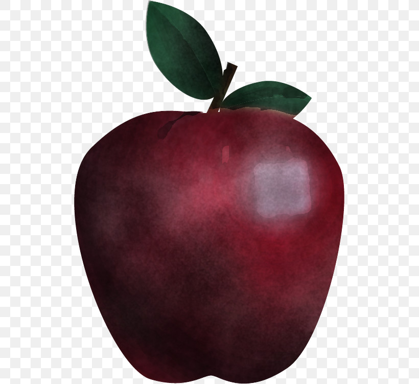 Maroon Plum Apple Apple, PNG, 529x751px, Maroon, Apple, Plum Download Free