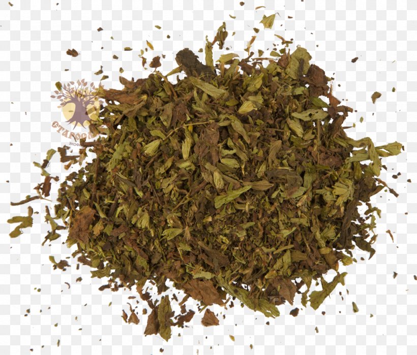Nilgiri Tea Hōjicha Green Tea Bubble Tea, PNG, 1024x873px, 2018 Nissan Leaf, Tea, Bubble Tea, Cafe, Green Tea Download Free