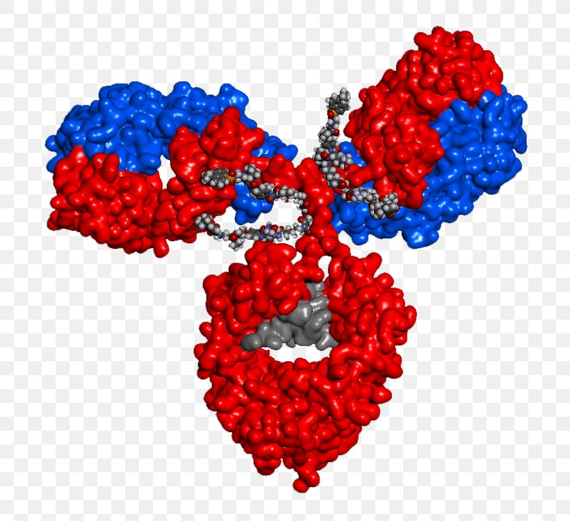 Antibody-drug Conjugate Immunology Biologic Immune System, PNG, 770x750px, Watercolor, Cartoon, Flower, Frame, Heart Download Free