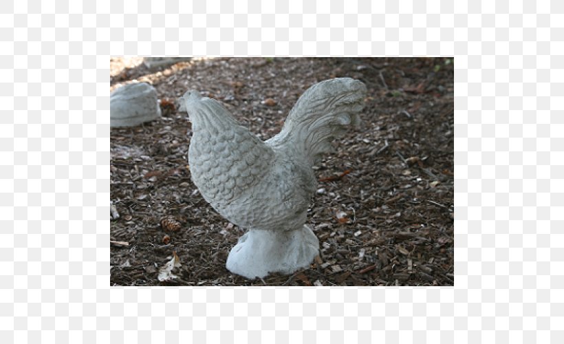 Chicken Bird Galliformes Fowl Poultry, PNG, 500x500px, Chicken, Beak, Bird, Chicken Meat, Fauna Download Free