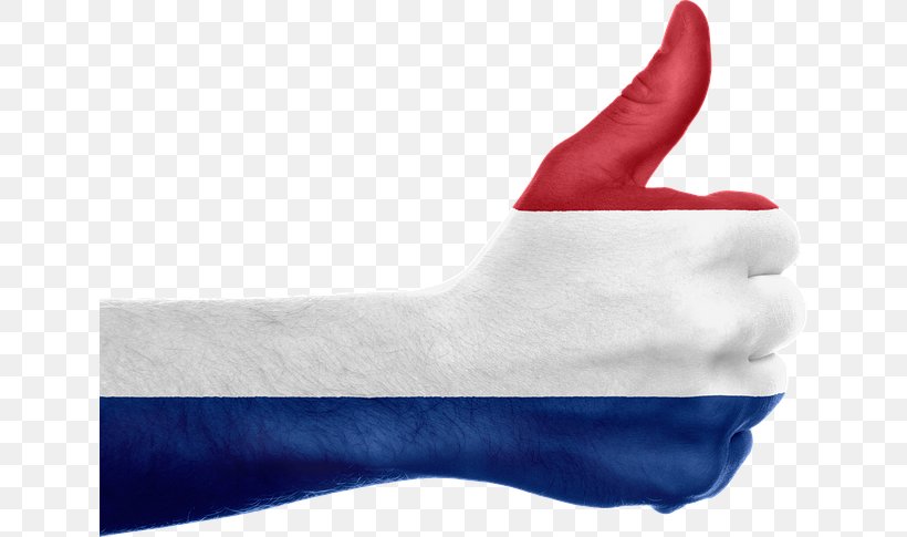 Flag Of The Netherlands Translation European Union Dutch, PNG, 640x485px, Netherlands, Arm, Dutch, Dutch National Flag Problem, European Union Download Free