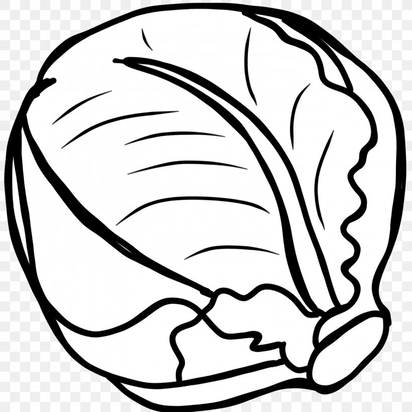 Red Cabbage Vegetable Black And White Clip Art, PNG, 1567x1567px, Cabbage, Art, Artwork, Black, Black And White Download Free