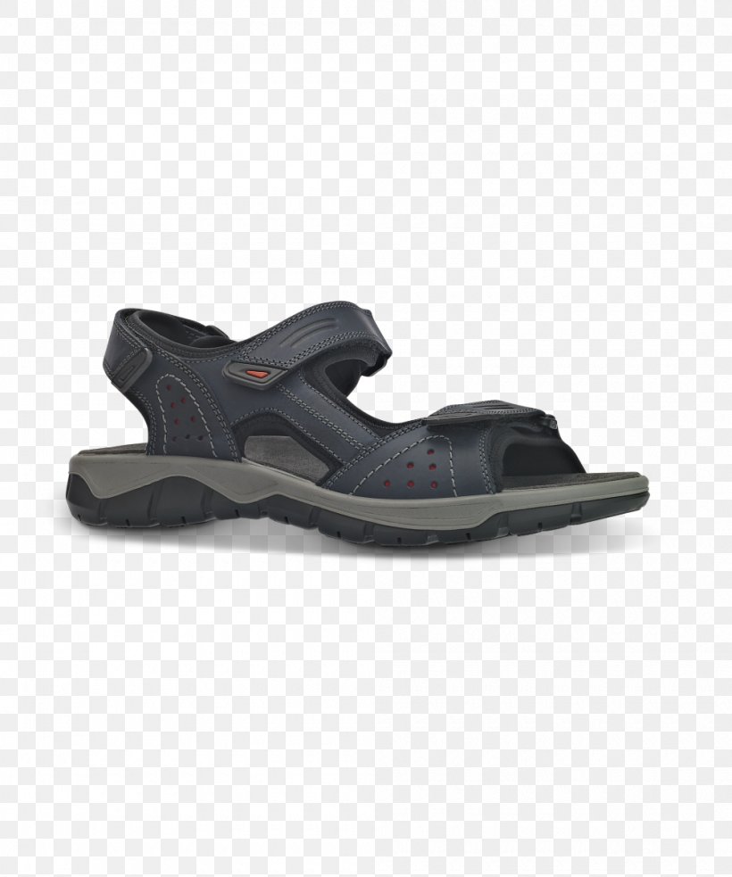 Sandal Footwear Shoe Flip-flops Clothing, PNG, 1000x1200px, Sandal, Absatz, Ankle, Clothing, Cross Training Shoe Download Free