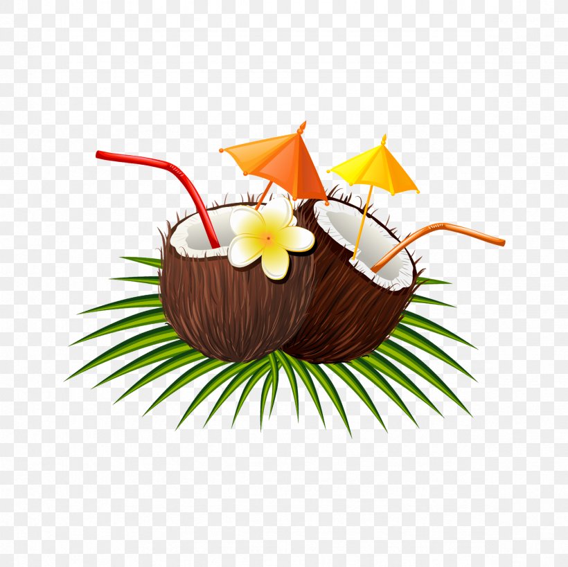 Coconut Euclidean Vector, PNG, 2362x2362px, Coconut, Cuisine, Flower, Food, Fruit Download Free