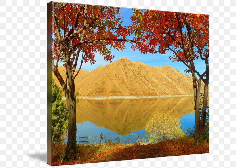 Ecosystem Painting Art Canvas Nature, PNG, 650x584px, Ecosystem, Art, Art Museum, Autumn, Canvas Download Free