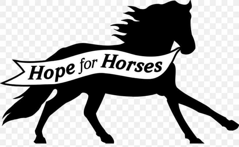 Mustang Pony Stallion American Quarter Horse Arabian Horse, PNG, 1000x618px, Mustang, American Quarter Horse, Arabian Horse, Black, Black And White Download Free