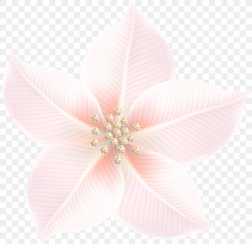 Petal Flower, PNG, 3000x2918px, Petal, Flower Download Free