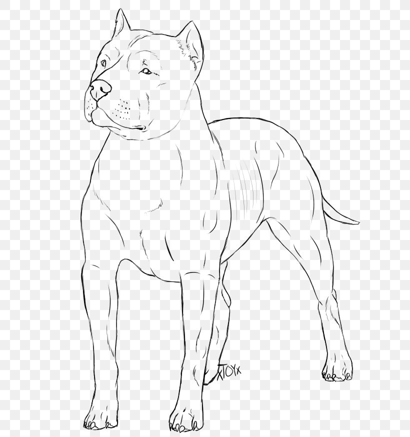 American Pit Bull Terrier Bulldog Line Art Drawing, PNG, 629x874px, Pit Bull, American Pit Bull Terrier, Animal, Animal Figure, Art Download Free