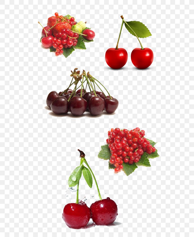 Barbados Cherry Auglis Malpighia Glabra, PNG, 600x1000px, Barbados Cherry, Acerola, Acerola Family, Antioxidant, Apricot Download Free