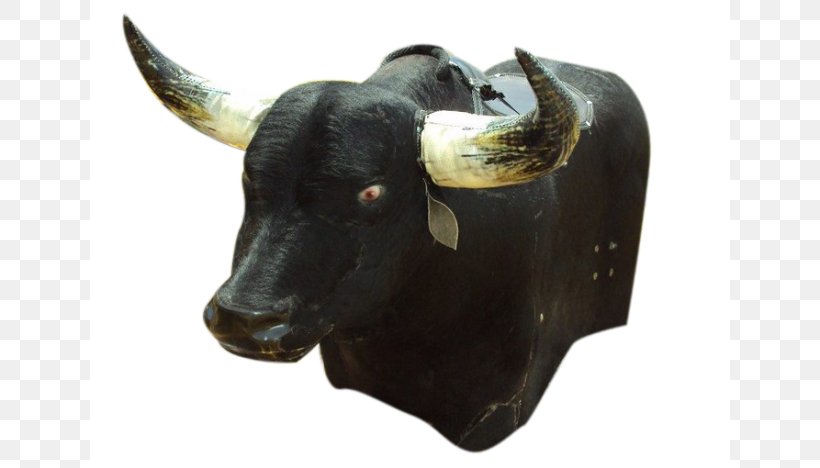 Bull Cattle Ox Horn Snout, PNG, 640x468px, Bull, Animal, Cattle, Cattle Like Mammal, Cow Goat Family Download Free