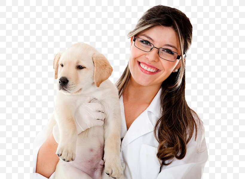 Dog Veterinarian Veterinary Medicine Handbook Of Veterinary Neurology Cat, PNG, 600x600px, Dog, Animal, Animal Medical Center, Animal Welfare, Carnivoran Download Free