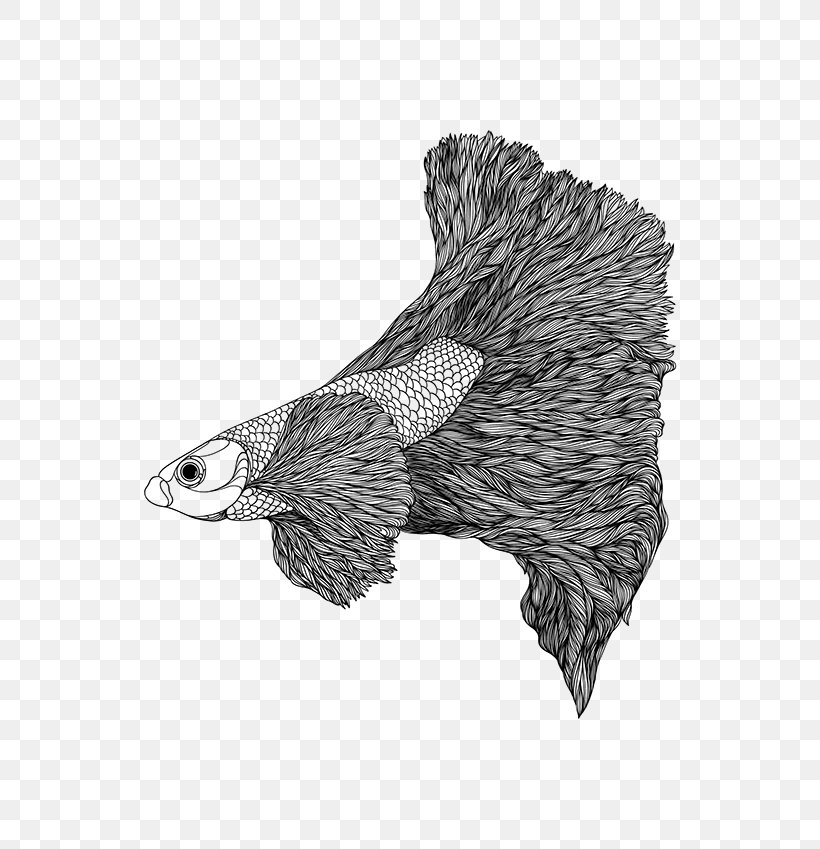 Eagle Hedgehog Drawing Porcupine /m/02csf, PNG, 600x849px, Eagle, Beak, Bird, Bird Of Prey, Black And White Download Free