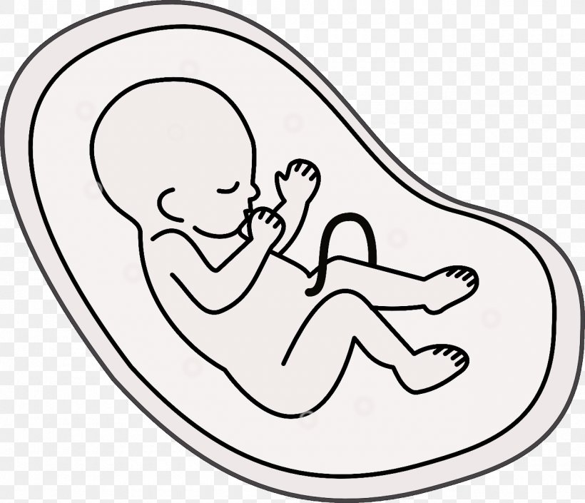 Embryo Fetus Cartoon Pregnancy, PNG, 1280x1101px, Watercolor, Cartoon, Flower, Frame, Heart Download Free