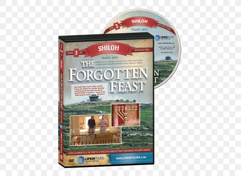 Forgotten God Israelites Video, PNG, 600x600px, Forgotten God, Advertising, Ark Of The Covenant, Dvd, Francis Chan Download Free