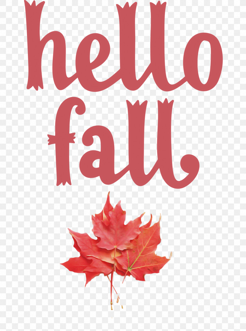 Hello Fall Fall Autumn, PNG, 2224x3000px, Hello Fall, Autumn, Fall, Floral Design, Flower Download Free