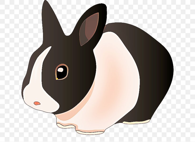 Rabbit Cartoon Domestic Rabbit Nose Rabbits And Hares, PNG, 640x601px, Rabbit, Cartoon, Domestic Rabbit, Ear, Fawn Download Free