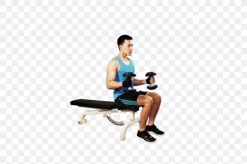 Biceps Curl Dumbbell Physical Fitness Bench, PNG, 4080x2720px, Watercolor, Cartoon, Flower, Frame, Heart Download Free