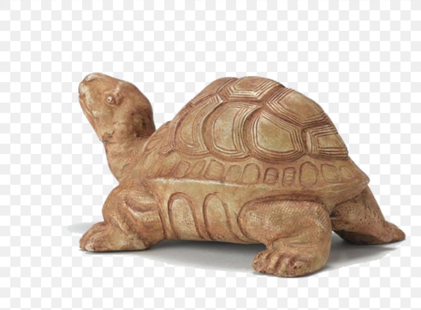 Box Turtle Tortoise, PNG, 1024x755px, 3d Computer Graphics, Turtle, Animal, Box Turtle, Chinese Softshell Turtle Download Free