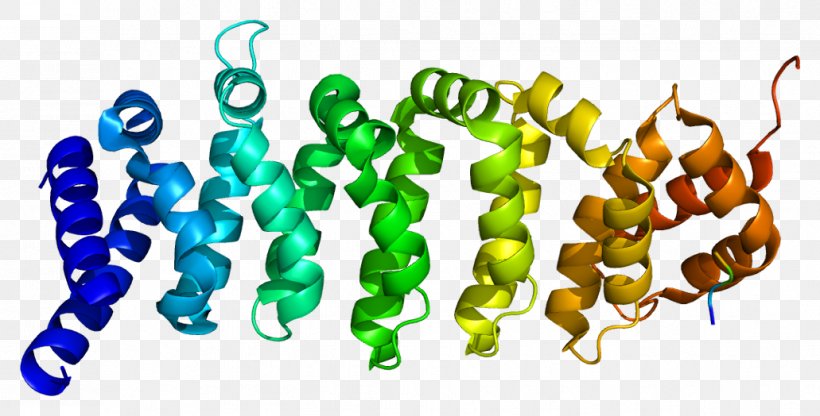 Calcium-binding Protein Gene Threonine, PNG, 1031x524px, Watercolor, Cartoon, Flower, Frame, Heart Download Free