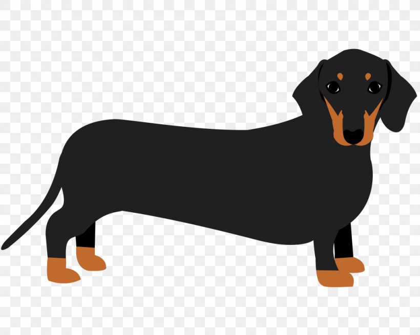 Dachshund Puppy Dog Breed Mug Sophisticated Pup, PNG, 1024x819px, Dachshund, Carnivoran, Dog, Dog Breed, Dog Like Mammal Download Free