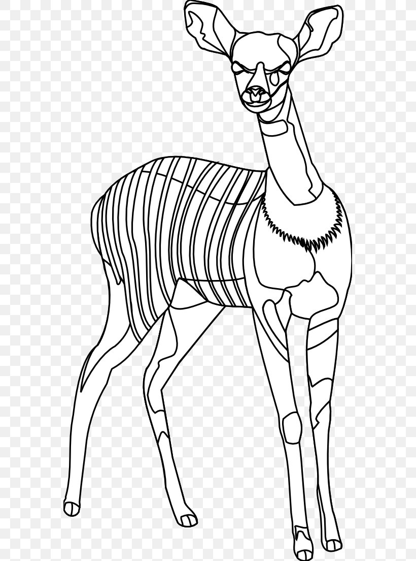 Deer Black And White Line Art Clip Art, PNG, 569x1104px, Deer, Animal, Antler, Arm, Black And White Download Free