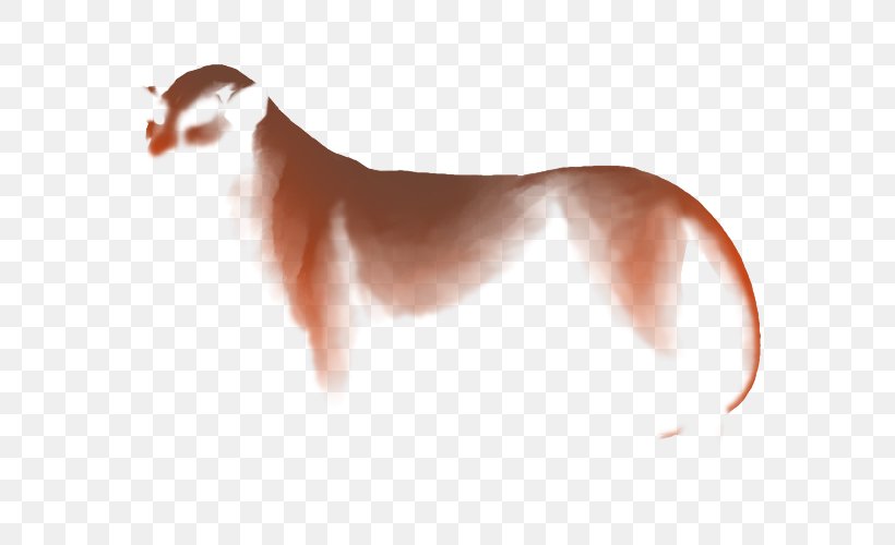 Dog Breed Italian Greyhound Puppy Skin, PNG, 640x500px, Dog Breed, Arm, Carnivoran, Dog, Dog Like Mammal Download Free
