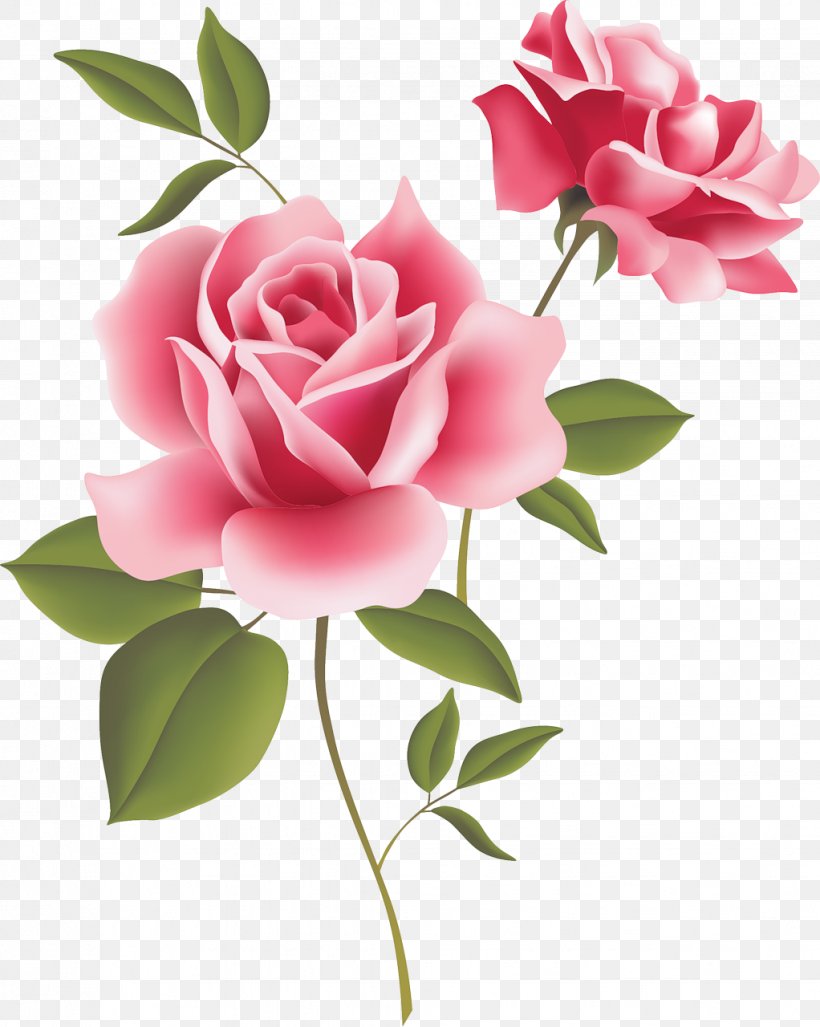 Vintage Roses: Beautiful Varieties For Home And Garden Pink Clip Art, PNG, 1022x1280px, Rose, Artificial Flower, Branch, Bud, Cut Flowers Download Free