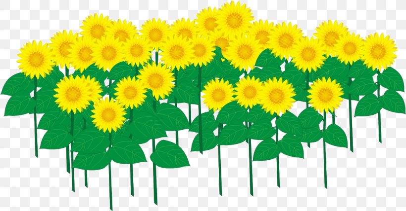 Common Sunflower Cartoon, PNG, 1024x535px, Common Sunflower, Animated Film, Cartoon, Chrysanths, Cut Flowers Download Free