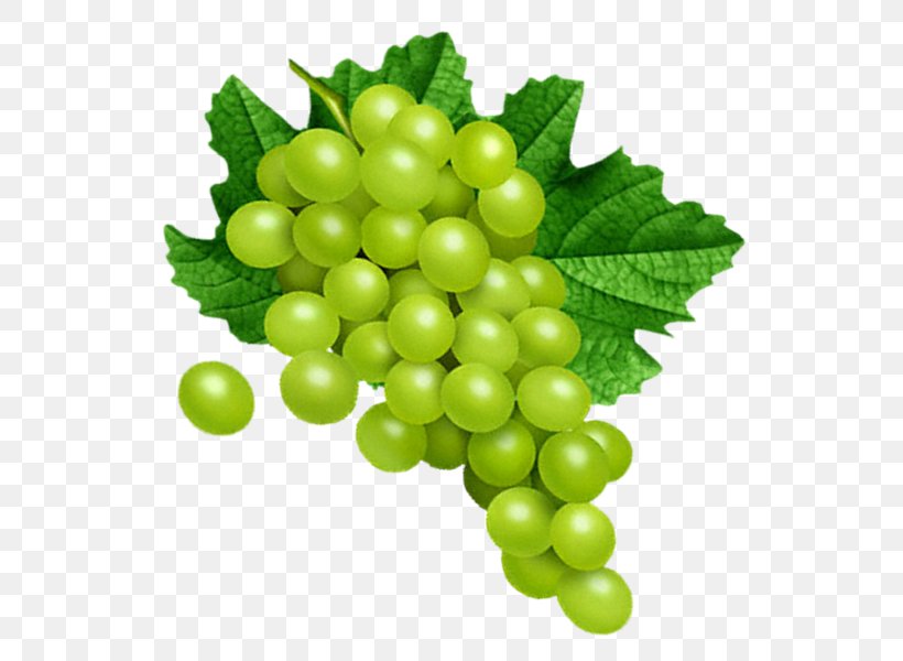 Grape Clip Art, PNG, 584x600px, Grape, Digital Image, Food, Fruit, Gooseberry Download Free